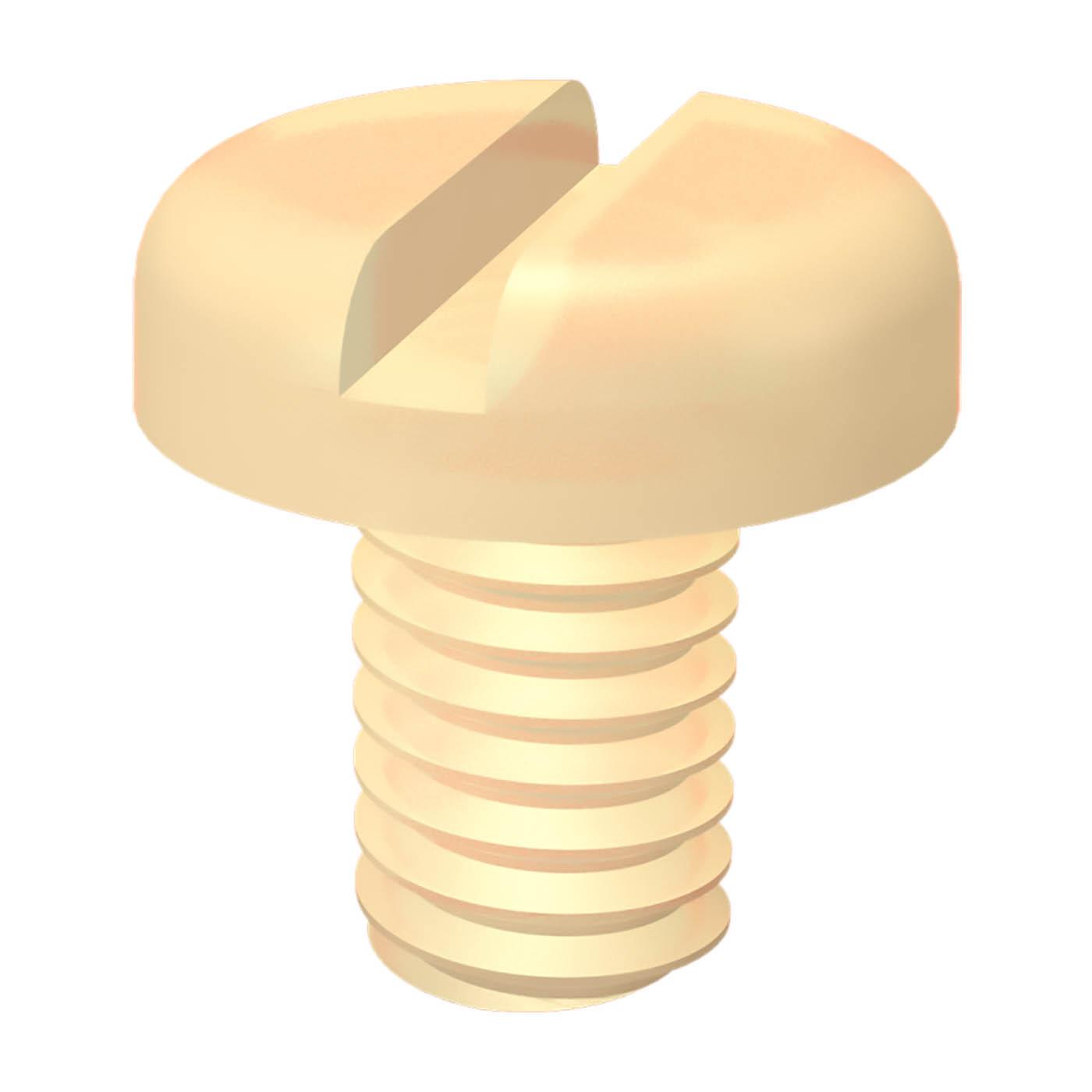Plastic pan-head screws with slot M6x10mm, polyamide, natural colour Plastic pan-head screws with slot M6x10mm, polyamide, natural colour