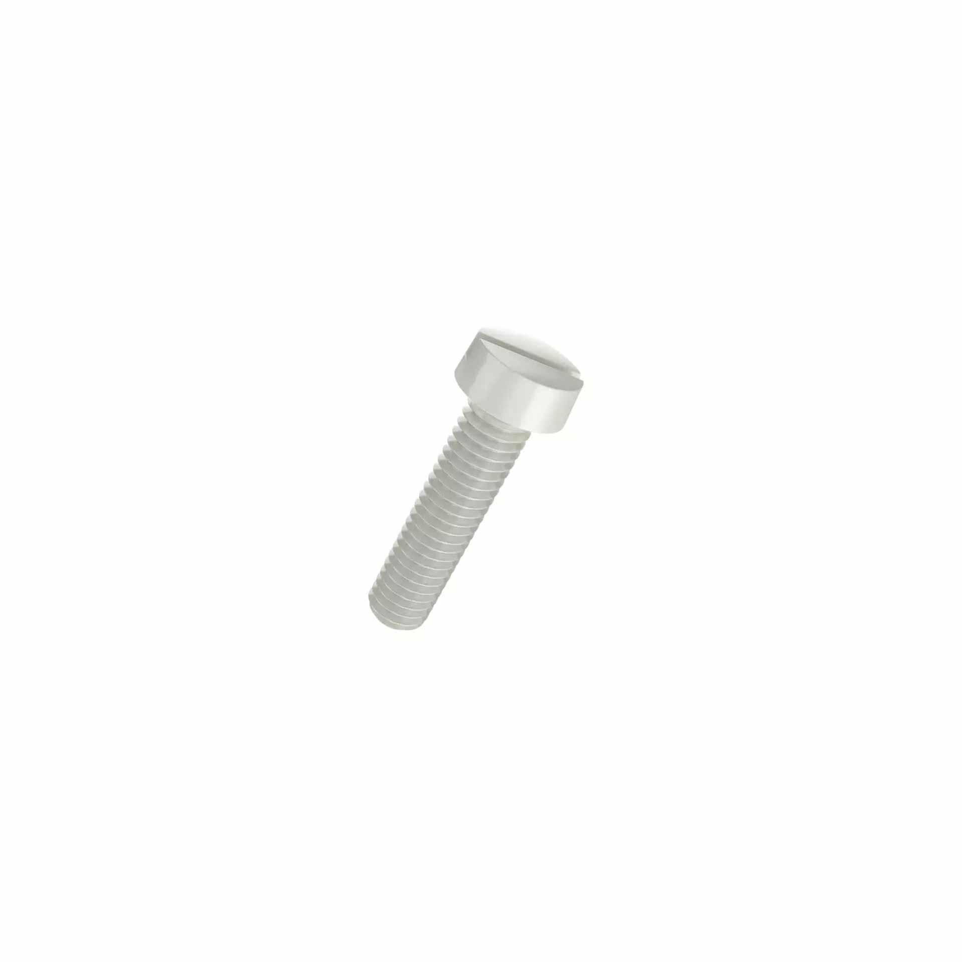 Vis à tête cylindrique en plastique avec fente M4x16mm, polyamide, couleur naturelle Vis à tête cylindrique en plastique avec fente M4x16mm, polyamide, couleur naturelle
