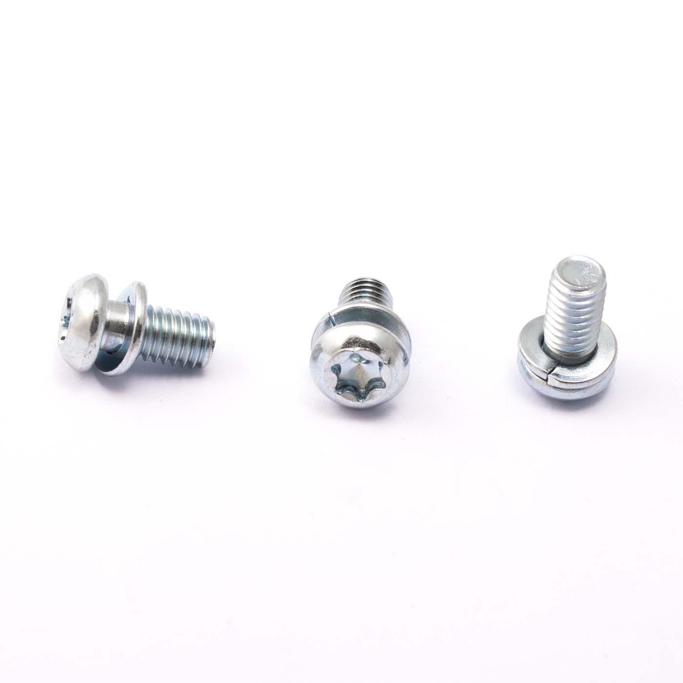 Rundkopf Torx mit Sicherungsscheibe M6x10mm Rundkopf Torx mit Sicherungsscheibe M6x10mm